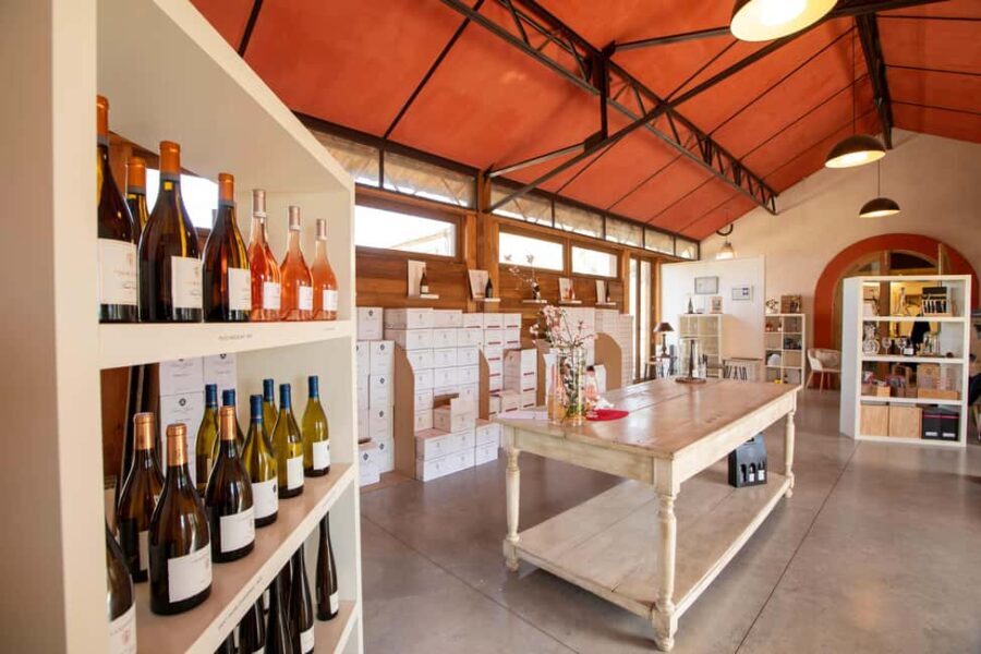 Mèze: Domaine Saint André Vineyard Guided Tour with Tasting - An In-Depth Look at the Domaine Saint André Tour