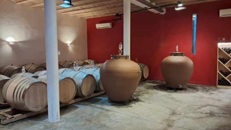 Mèze: Guided Tour of the Estate & Wine Tasting - Why You’ll Love This Experience in Mèze