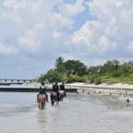 Miami: Beach Horse Ride & Nature Trail - Matching You with the Right Horse