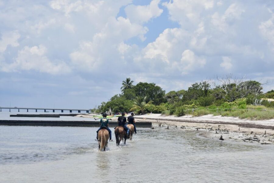 Miami: Beach Horse Ride & Nature Trail - Matching You with the Right Horse