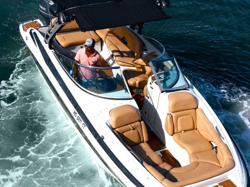 Miami Beach: Spectacular Sandbar & Skyline Boat Tour - Wildlife Watching and the Sandbar Experience