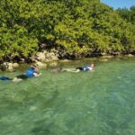 Miami: Beginner-Friendly Island Snorkeling by SUP or Kayak - What Makes This Tour Stand Out?