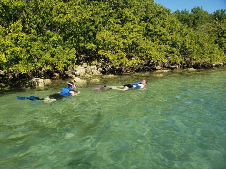 Miami: Beginner-Friendly Island Snorkeling by SUP or Kayak - What Makes This Tour Stand Out?