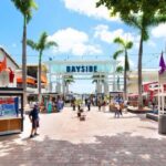 Miami: Biscayne Bay Boat Cruise with Transportation - A Close Look at the Biscayne Bay Boat Cruise Experience