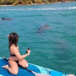 Miami Biscayne Bay Boat Tour with Sandbar Experience. - FAQ