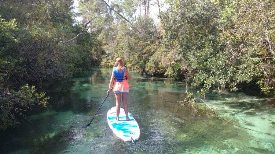 Miami: Biscayne Bay Ultimate Boat Tour with Kayak Experience