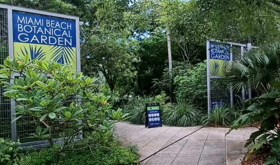 Miami: City Tour & Cruise of Biscayne Bay - Why Choose This Tour? A Deep Dive