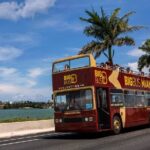 Miami Combo: Open-top Bus Tour and Sightseeing Bay Cruise - Who Will Love This Tour?