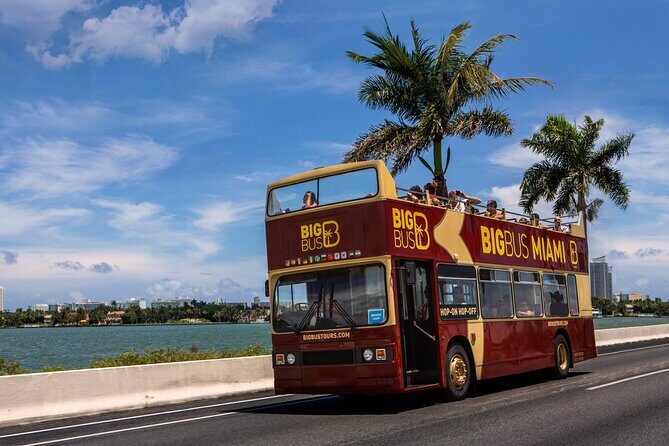 Miami Combo: Open-top Bus Tour and Sightseeing Bay Cruise - Who Will Love This Tour?
