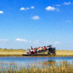 Miami: Everglades Airboat Alligator Tour with Transfer - What Makes This Tour Stand Out?