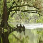 MIAMI: Everglades Airboat, Wildlife Gator Show and Photo - Final Thoughts