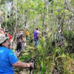 Miami: Everglades National Park Hiking and Kayaking Day Trip - The Experience’s Strengths and Potential Drawbacks