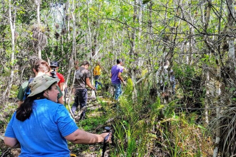Miami: Everglades National Park Hiking and Kayaking Day Trip - The Experience’s Strengths and Potential Drawbacks