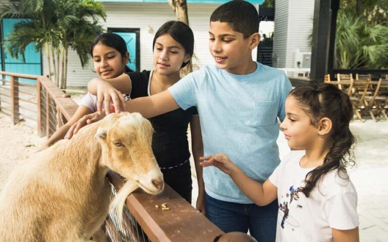 Miami: Jungle Island General Admission - Authentic Perspectives from Visitors