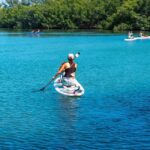 Miami: Paddle Board or Kayak Rental - PADL Beach Club - The Sum Up