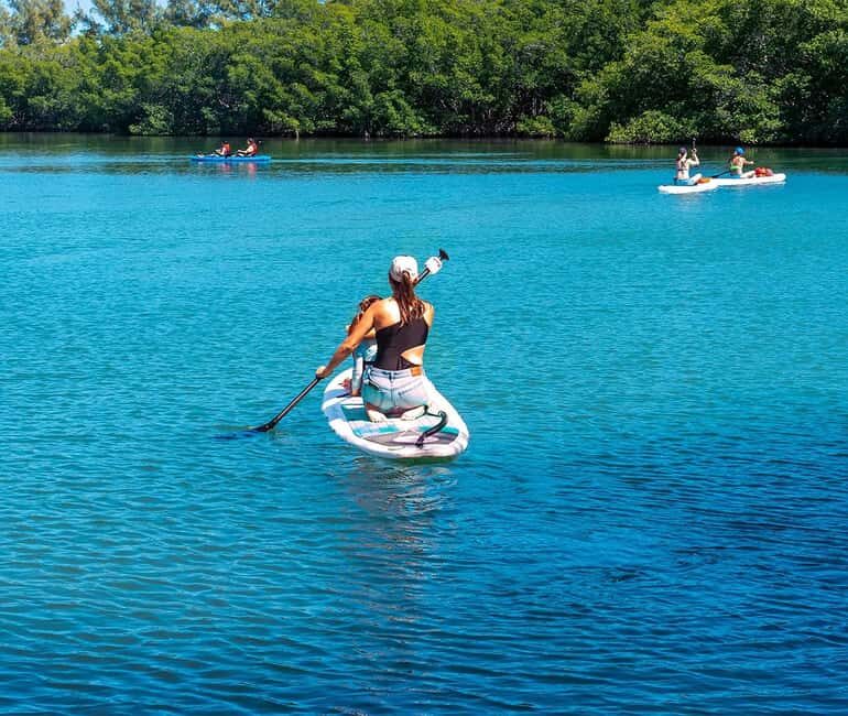 Miami: Paddle Board or Kayak Rental - PADL Beach Club - The Sum Up
