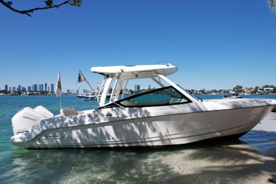 Miami: Private Star island, Miami Skyline & Miami River Tour - Final Thoughts