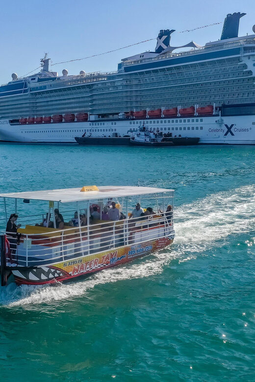 Miami: Skyline Boat Cruise, Millionaire homes & Miami Beach - Authentic Experiences and Practical Details