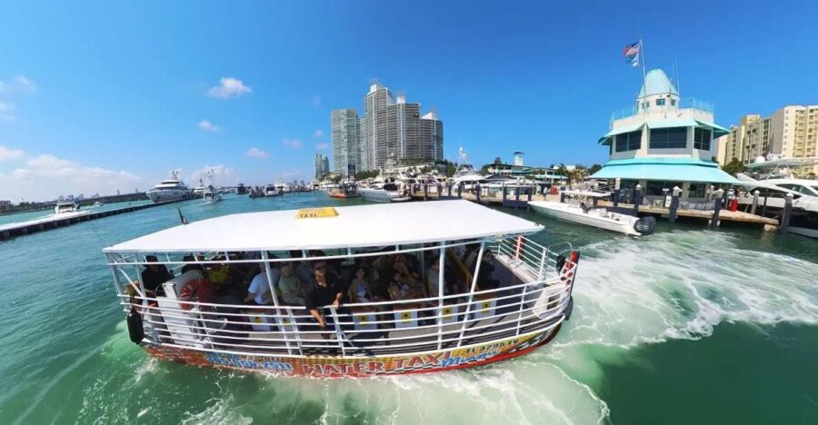 Miami Skyline Cruise of Millionaire Homes on Biscayne Bay - Authentic Insights from Reviews
