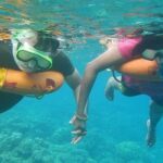Miami Snorkeling for Beginners from Bayside Market Place - Practical Tips for Your Trip