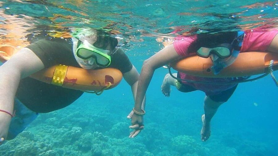 Miami Snorkeling for Beginners from Bayside Market Place - Practical Tips for Your Trip
