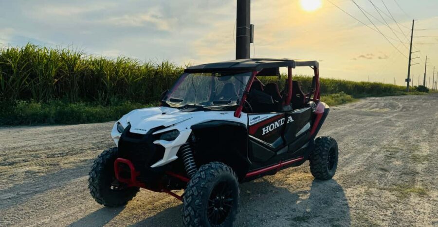 Miami's Ultimate Buggy Adventure on a Honda Talon UTV - Detailed Breakdown of the Experience