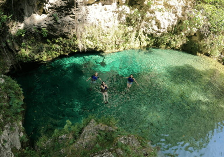 Micos and El Aguacate waterfalls: a nature tour. - What Makes This Tour Stand Out?