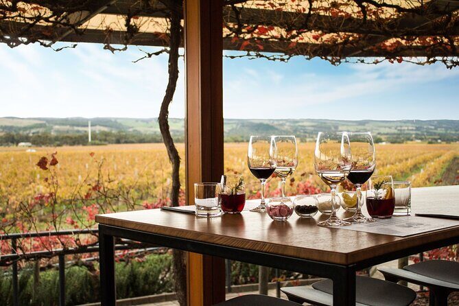 Micro-Group McLaren Vale Wine Tour from Adelaide - A Deep Dive into the McLaren Vale Experience