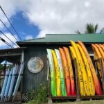 Midday Meander - Kealakekua Bay Kayak and Snorkel Adventure - What to Expect on the Tour