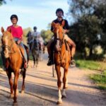 Middle day out of Rome on Horseback with meals included - Detailed Itinerary Breakdown