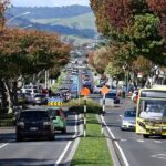 Middle Earth Private Tour from Tauranga Cruise Port. Tickets incl - What Travelers Say: Authentic Experiences and Knowledgeable Guides