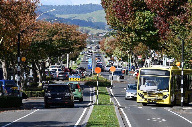 Middle Earth Private Tour from Tauranga Cruise Port. Tickets incl