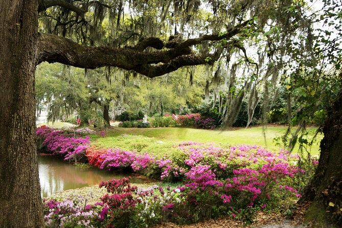 Middleton Place Tour with Lunch and Transportation - Authentic Insights from Travelers
