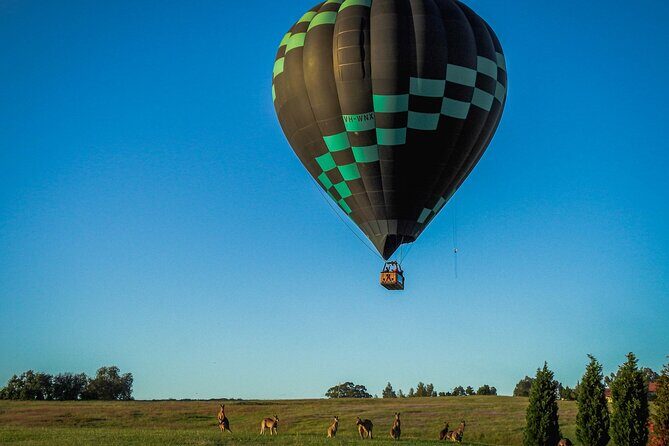 Midweek Hot Air Balloon Flight at Hunter Valley - What Sets This Tour Apart?