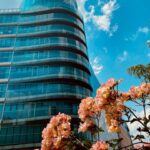 Milan: between innovation and eclectic (Porta Nuova & Isola) - What to Expect: An Engaging 2.5-Hour Walk