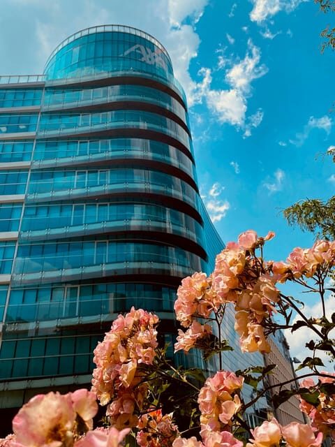 Milan: between innovation and eclectic (Porta Nuova & Isola) - What to Expect: An Engaging 2.5-Hour Walk