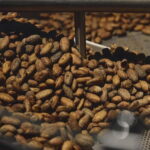 Milan: Enrico Rizzi Chocolate Factory Tour with tasting - A Closer Look at the Experience