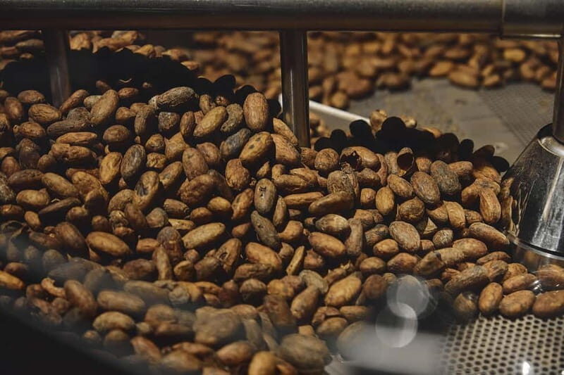 Milan: Enrico Rizzi Chocolate Factory Tour with tasting - A Closer Look at the Experience