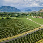 Milan: Lake Iseo & Franciacorta Wine Region with Cruise - FAQ