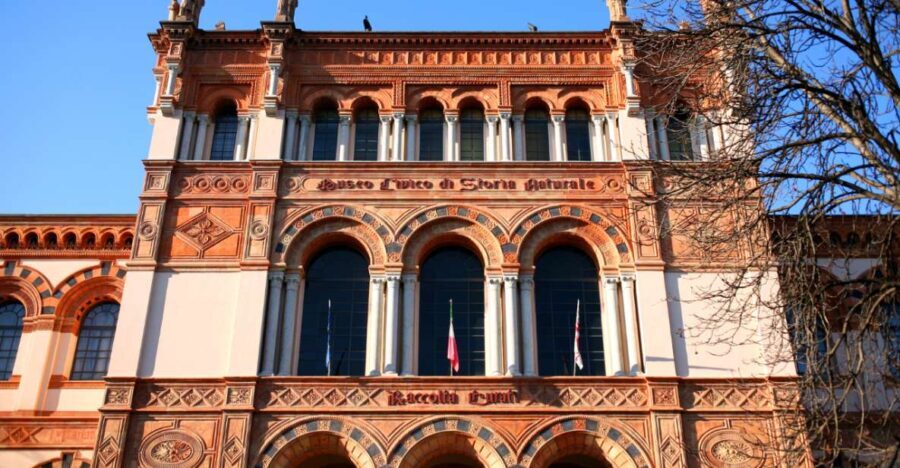 Milan: Natural History Museum Entry Ticket & Audio Guide - A Close Look at the Experience