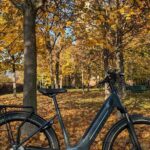 Milano e l'acqua. Tour dei parchi milanesi - FAQ