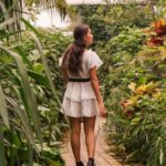 Milano Marittima: Casa delle Farfalle Entry Ticket - Authenticity and Educational Value