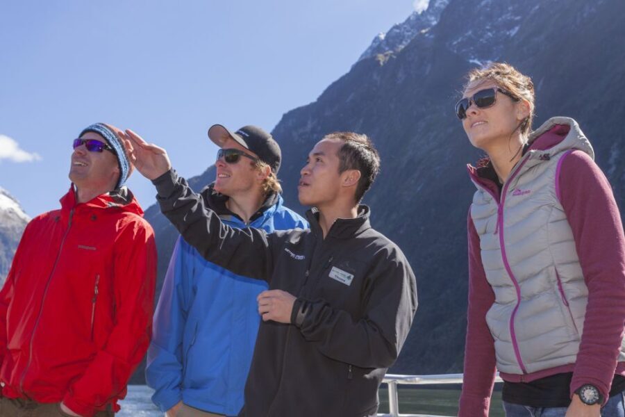 Milford Sound: 2-Hour Small Boat Scenic Cruise - A Closer Look at Milford Sound Small Boat Cruise