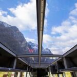 Milford Sound Day Tour from Te Anau - What You Can Expect: A Well-Organized, Scenic Adventure