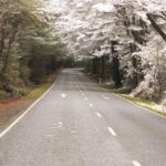 Milford Sound Discovery Tour - Who Is This Tour Best Suited For?