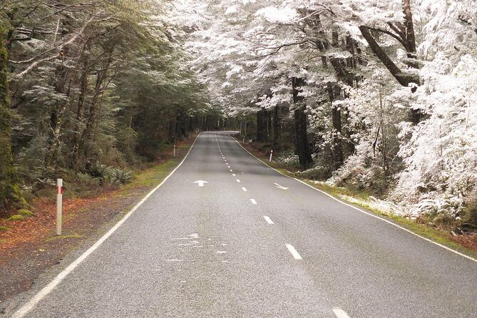 Milford Sound Discovery Tour - Who Is This Tour Best Suited For?