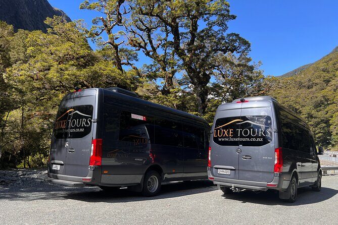 Milford Sound Full Day Tour from Te Anau with Cruise - FAQs