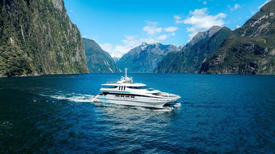 Milford Sound: Nature Cruise on a Modern Catamaran - Who Will Love This Tour?