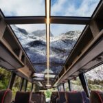 Milford Sound Premium Coach and Cruise with Lunch from Te Anau - Who Will Love This Tour?
