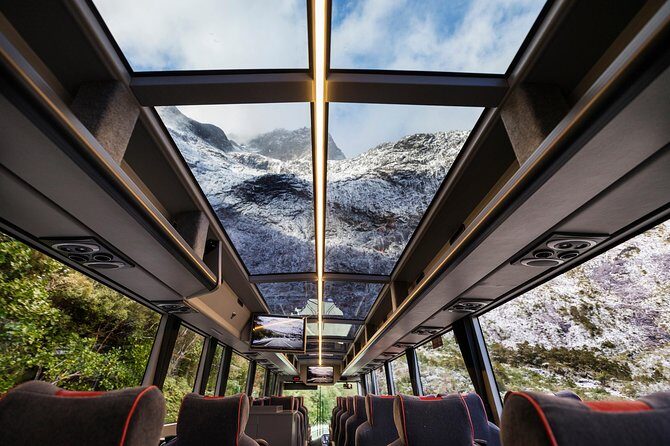 Milford Sound Premium Coach and Cruise with Lunch from Te Anau - Who Will Love This Tour?